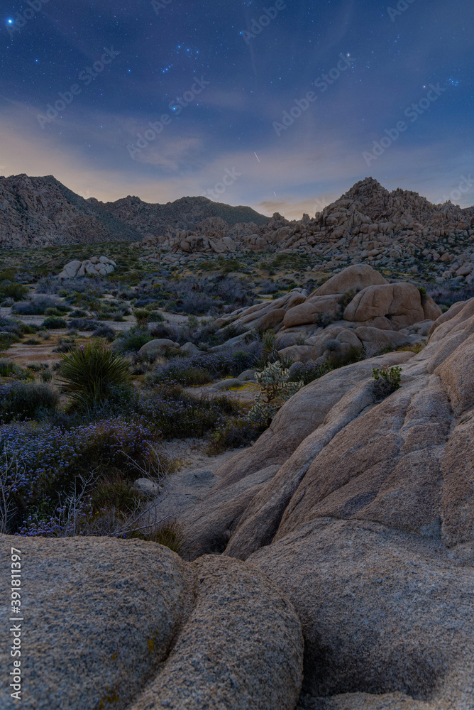 Starry twilight over beautiful desert landscape of Joshua Tree National Park