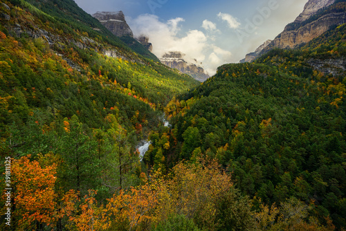 An autmn forest valley with running stream in Ordesa national park, SPain photo