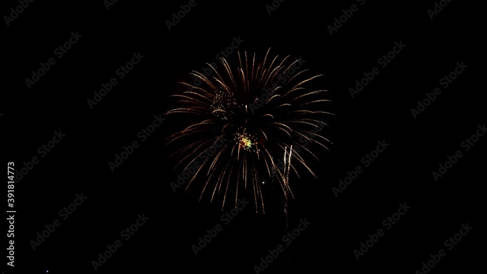Beautiful Fireworks in The Sky With Black Background Beautiful Fireworks in The Sky With Black Background