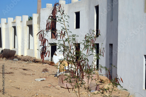 Abandoned houses in Sharm El Sheikh, Egypt