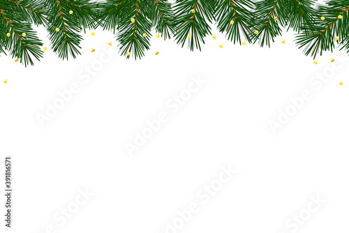 White card with branches of a Christmas tree along the top edge. Horizontal rectangular white background with a limiter, a border of cedar, spruce, or Christmas tree branches, coniferous plant. 