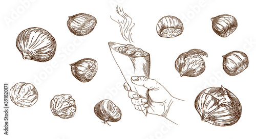 Set of hand drawn illustration. Hand holding grilled whole chestnuts.