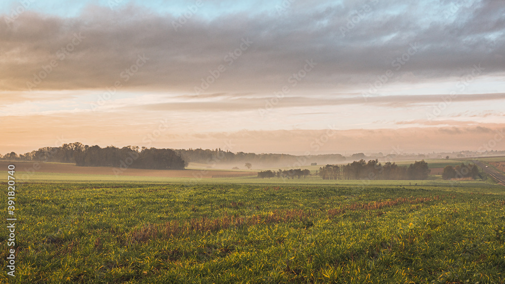 Les champs dans le brouillard à Auvers sur Oise