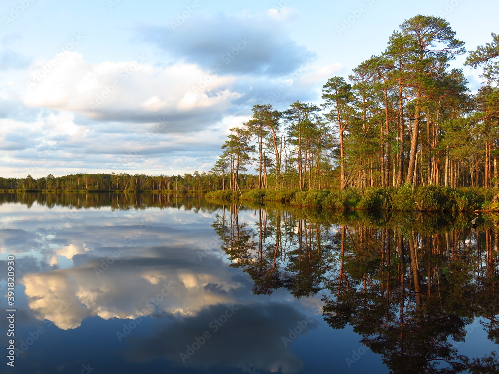 Obraz premium lake in the woods