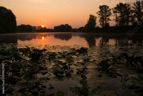 a soft orange sunrise over a calm lake overgrown with water lilies