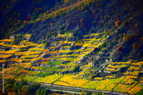 Herbstfarbenes unteres Msoeltal, Terassenmosel bei Dieblich photo