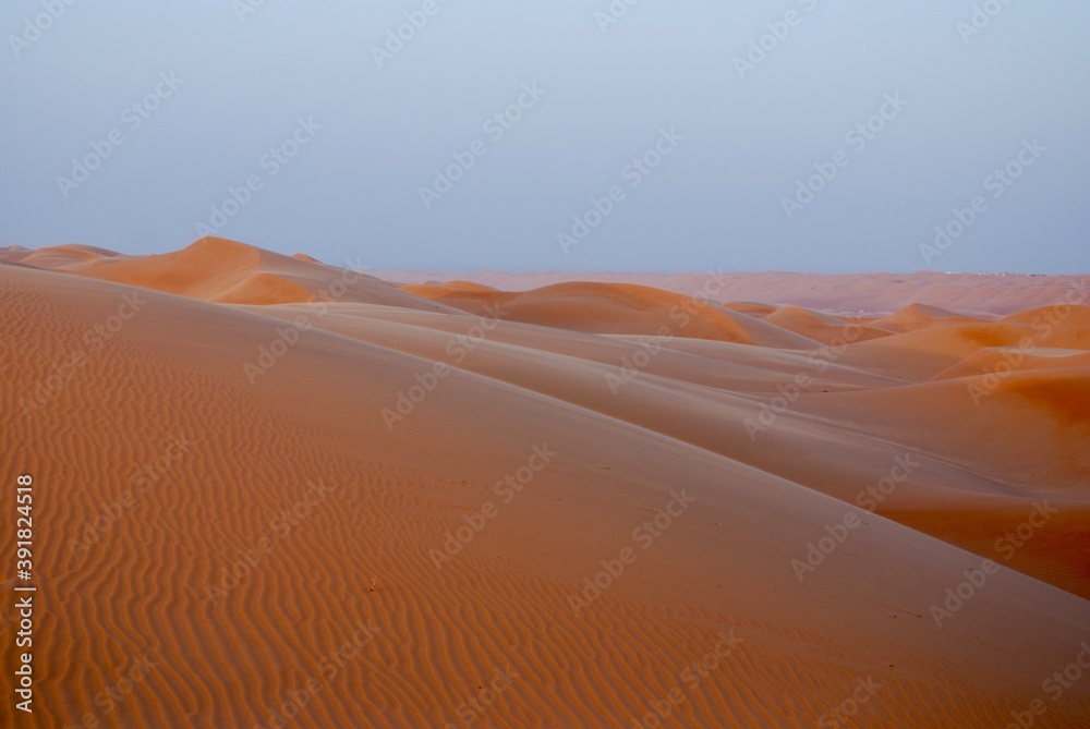 Dunes dans le désert