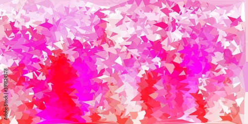 Light pink vector poly triangle layout.