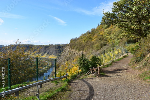 Herbstfarbenes unteres Msoeltal, Terassenmosel bei Dieblich photo