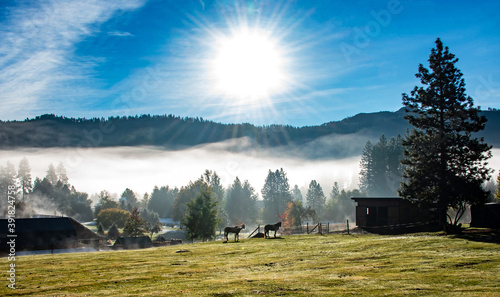 Icicle Road Horses at Sunrise