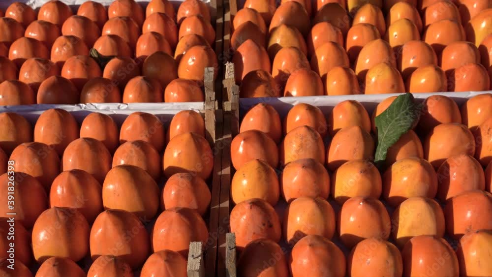 Persimmon fruit harvest in supermarket stall Persimmon fruit harvest in supermarket stall