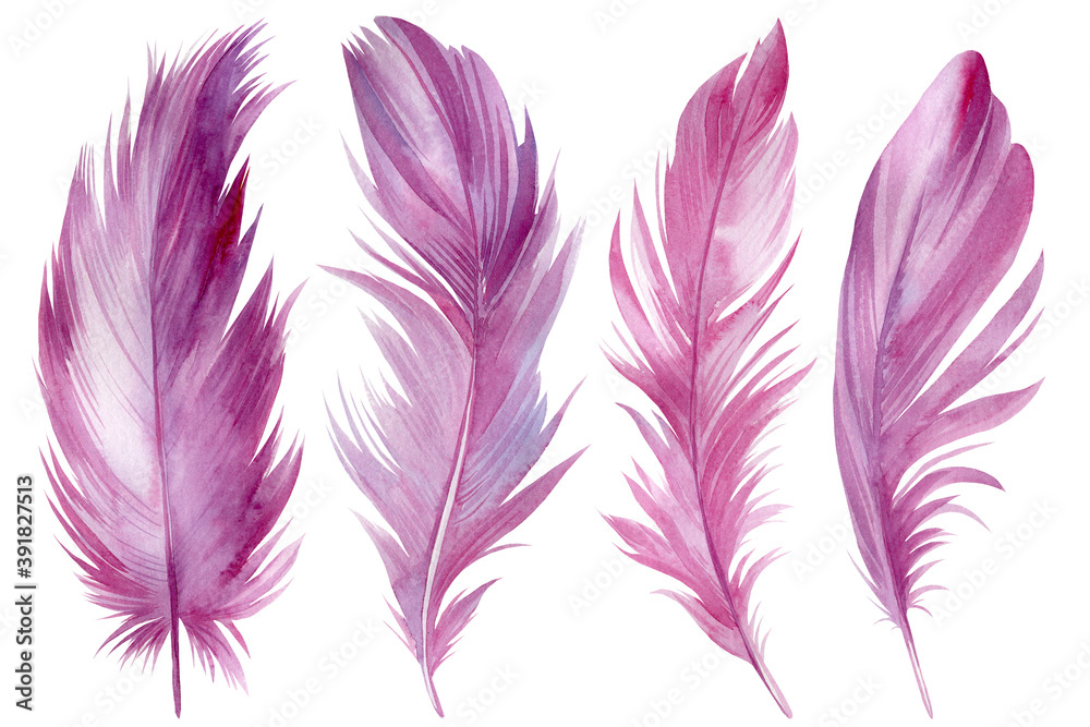 Fototapeta premium set of pink feathers on white isolated background, watercolor illustration, scrapbooking clipart