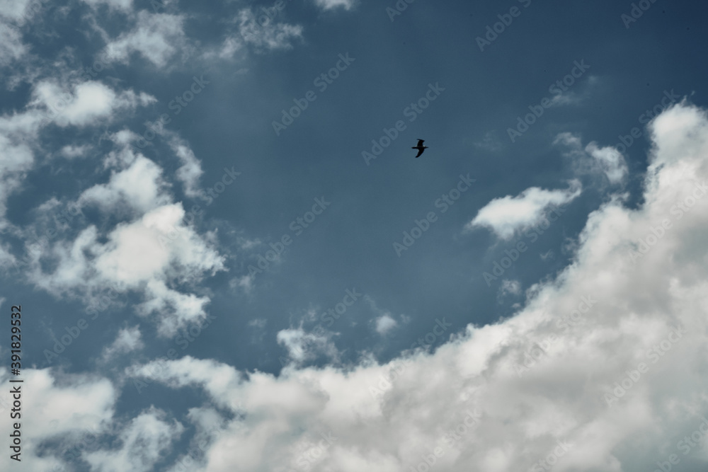 Sky in the clouds, sunny day, background