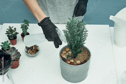 The girl plants indoor plants and flowers in soil and pots. Plant care and maintenance. Hobby.