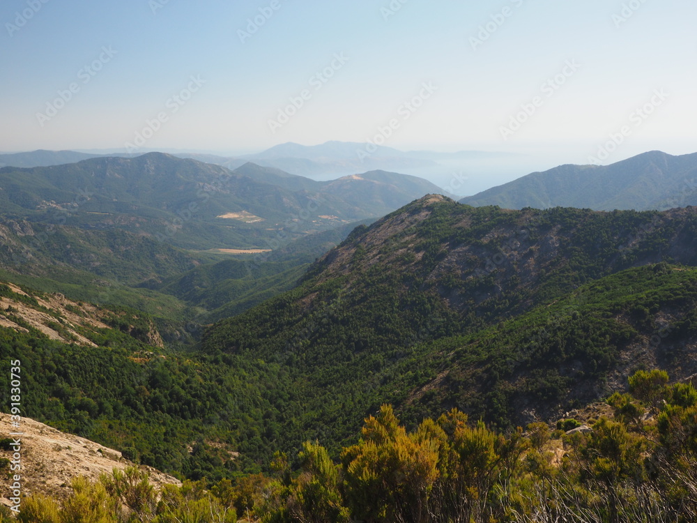 Wonderful landscape of crests and forests in the Corsican mountains