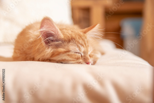 Red striped kitten on soft pillow in bedroom.