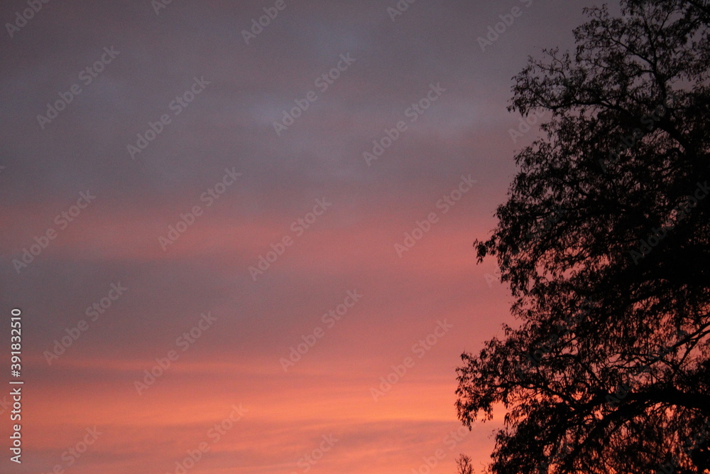 Fototapeta premium sunset in the sky