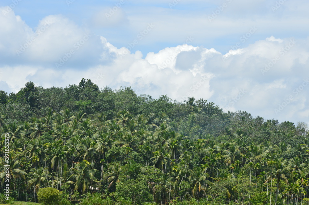 field and blue sky