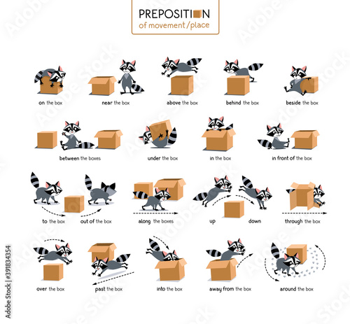 Preposition of place and movement. Raccoon and box