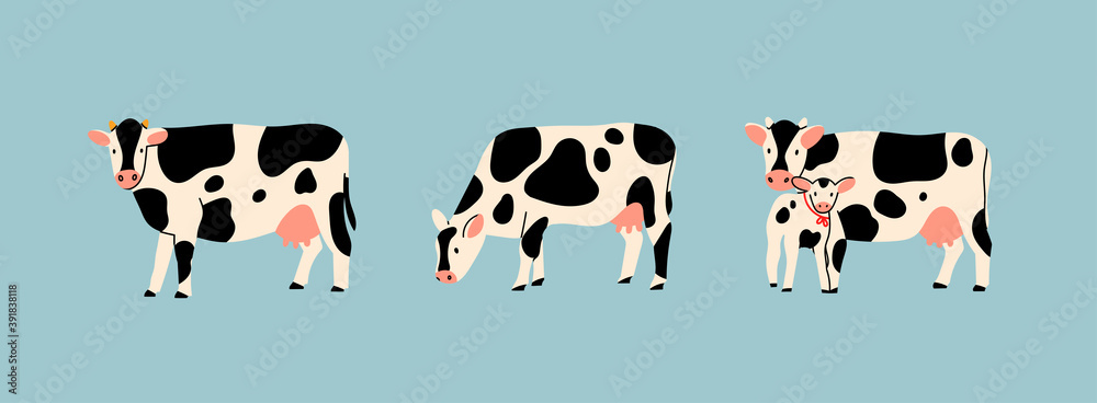 Set of three various cute Cows. Black and white colors. Hand drawn colored trendy Vector illustrations. Funny characters. Cartoon style. Isolated on blue background