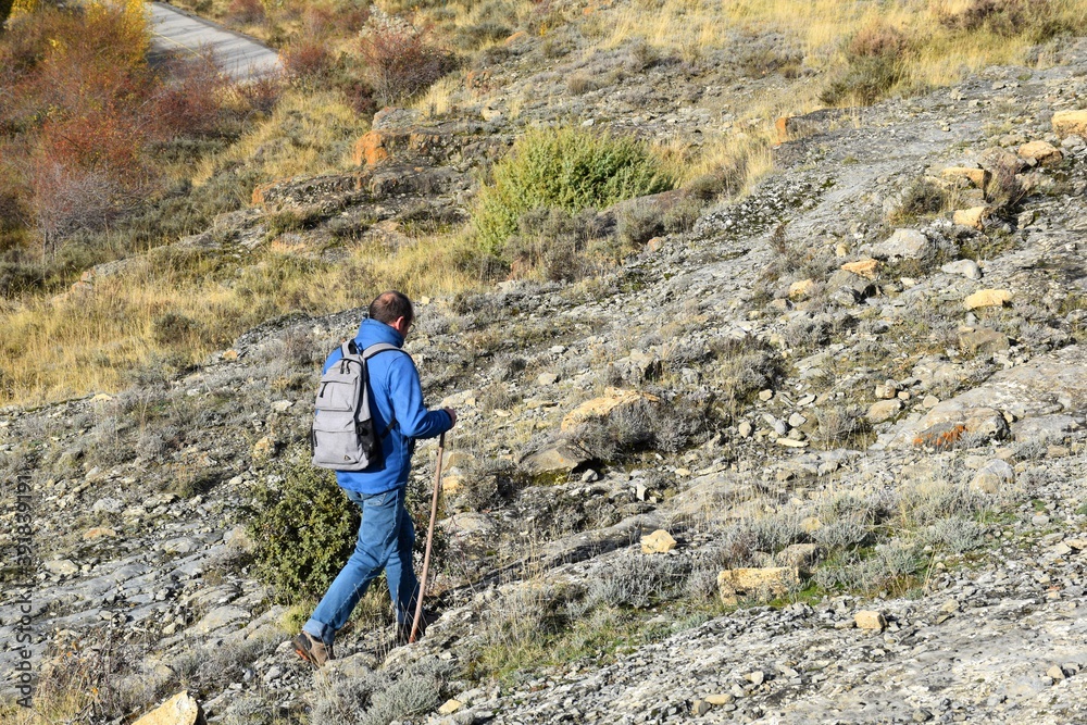 Hiker dressed in blue and backpack with a hazelnut stick in his hand taking a walk through the mountains.