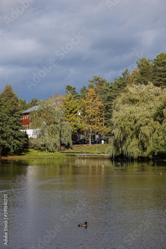 Beautiful landscape view of small pond near trees.