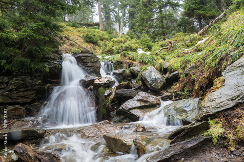creek in a green forest