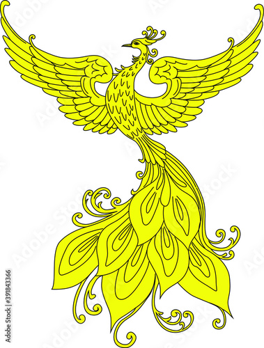 Firebird. Slavic fabulous beast.
 Hand drawn isolated vector illustration. Heraldry.