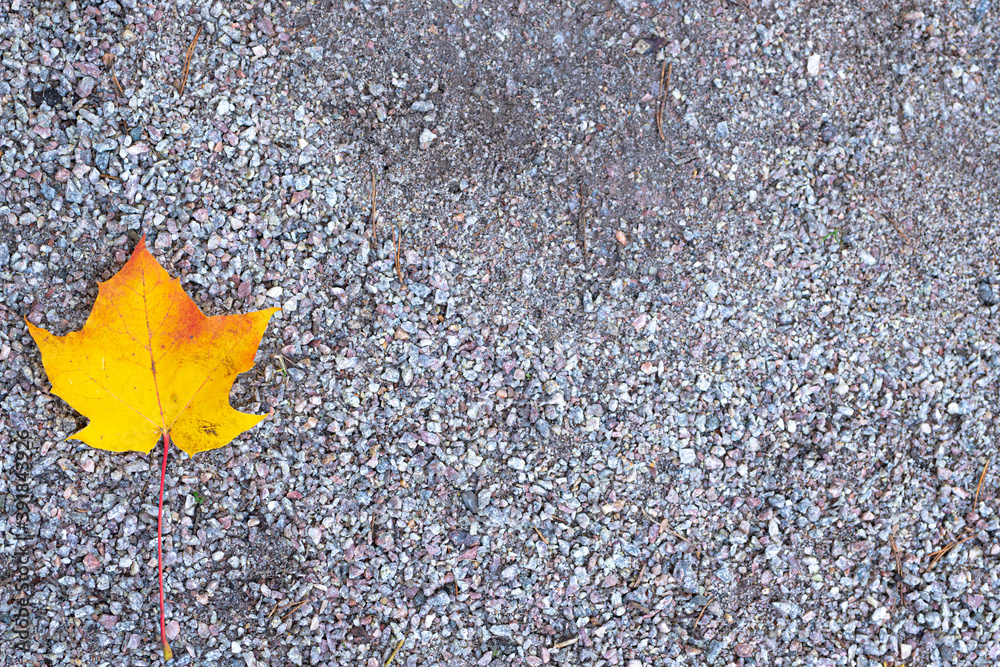 Yellow leaf on a gravel road. There is a place for text. Autumn concept. Yellow leaf on a gravel road. There is a place for text. Autumn concept.