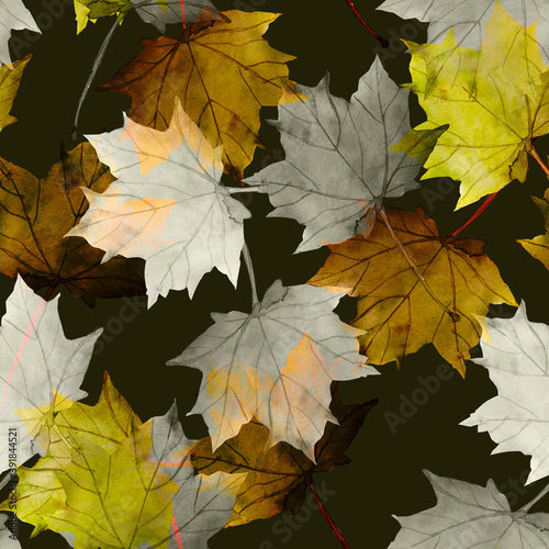 Maple leaves.Assorted autumn leaves.Art.Picture on white and colored background.