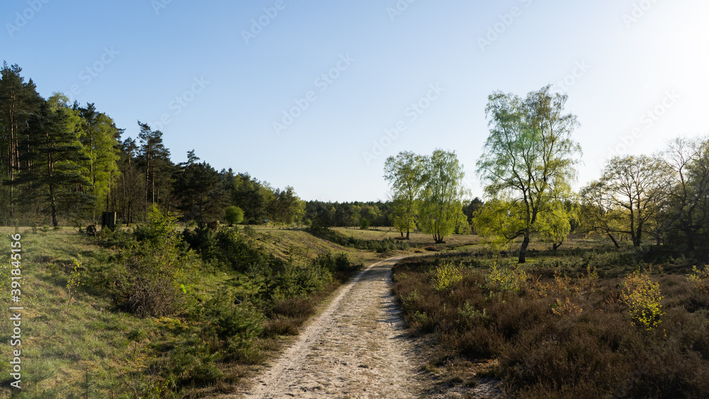 Abgelegener Pfad in der Heide