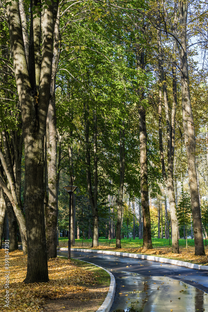 Obraz premium Sunny view of park of holiday hotel near Klyazma reservoir, Moscow region, Russia.