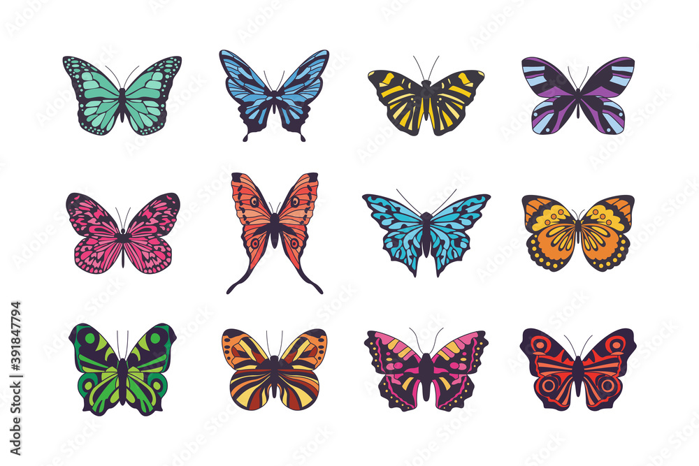 Cartoon butterfly set isolated on white background. Beautiful insects Cartoon butterfly set isolated on white background. Beautiful insects