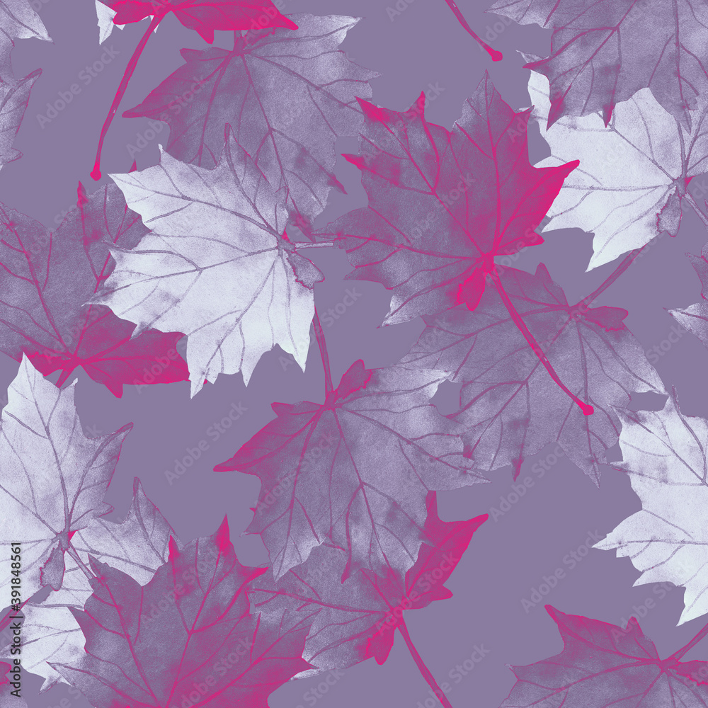 Maple leaves.Assorted autumn leaves.Art.Picture on white and colored background.
