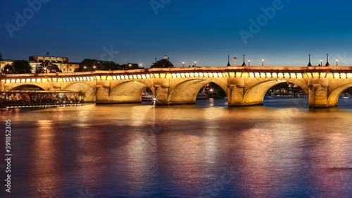 Canvas Print Paris - Pont Neuf