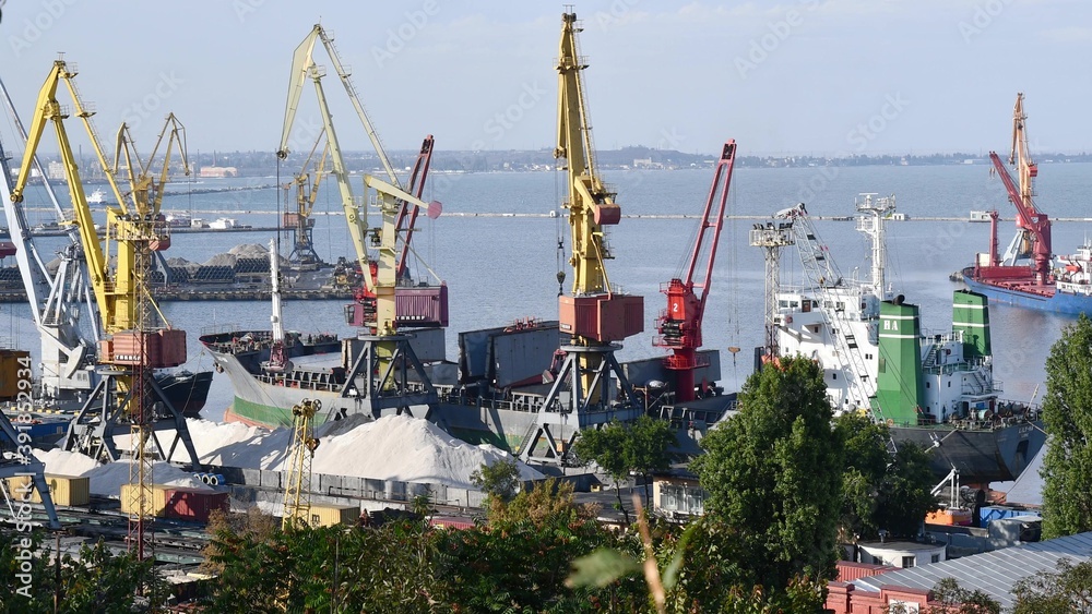 Marine port and bulk cargo shipment terminal with shore cranes