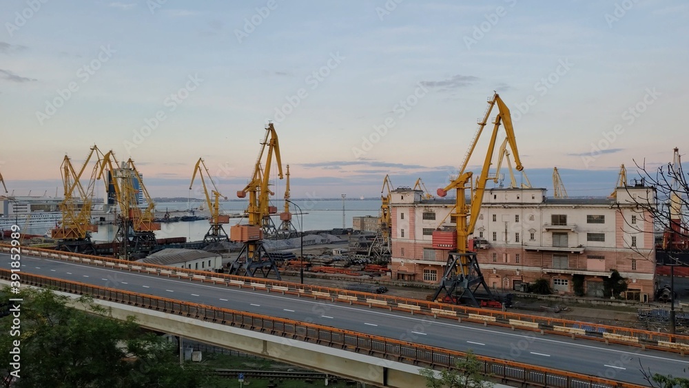Industrial port landscape with cargo cranes and empty cargo overpass