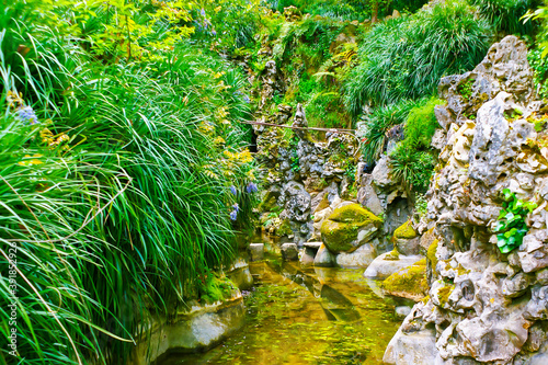 The juicy garden of Quinta da Regaleira, Sintra, Portugal photo