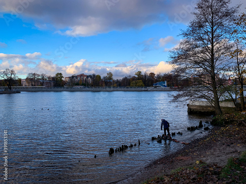 autumn in the park