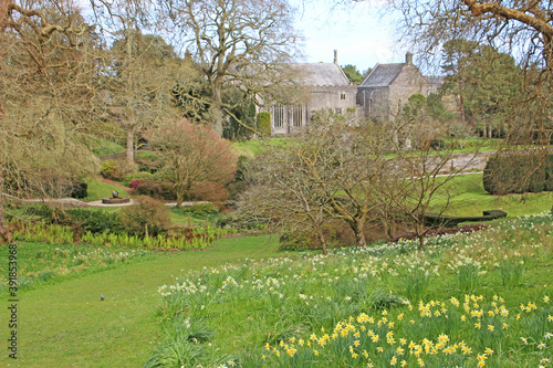 Dartington Hall and Gardens, Devon	 photo