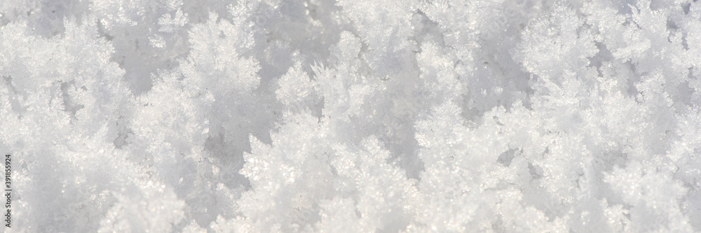 Fototapeta premium detail of fresh powder snow at winter