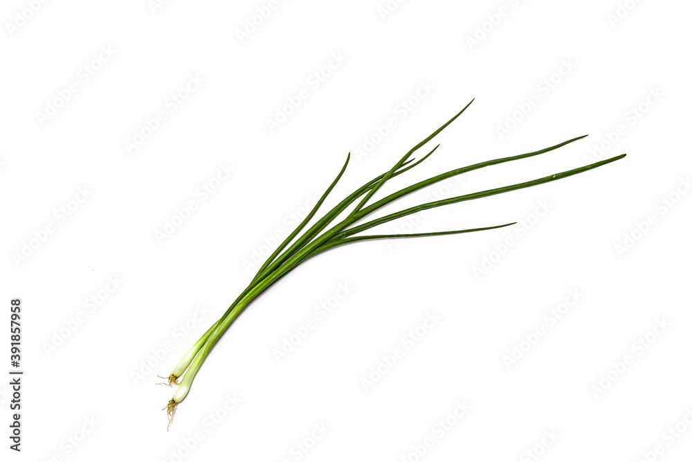 Fototapeta premium Green onion isolated on the white background