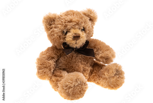 soft toy bear isolated