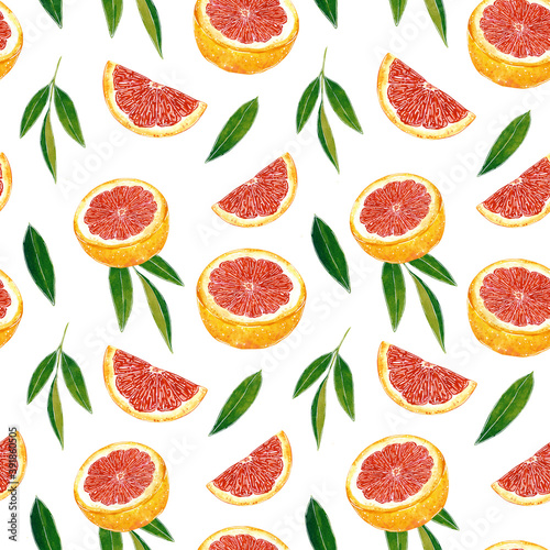 Red grapefruit seamless pattern  hand drawn botanical illustration isolated on white.