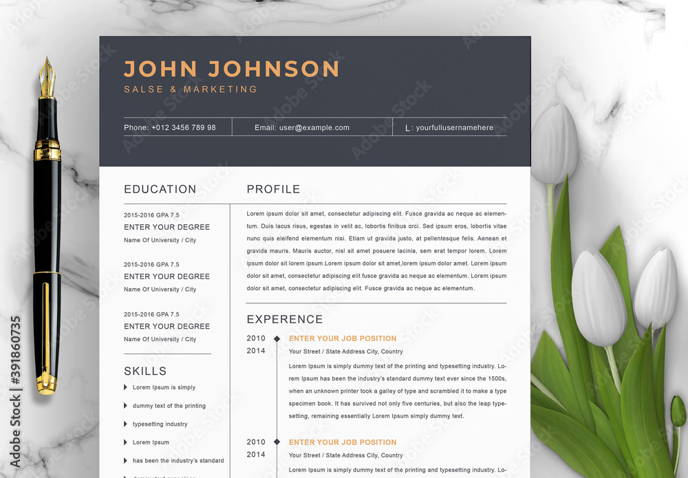 Modern Resume Layout Stock Template | Adobe Stock