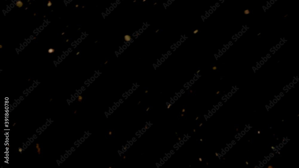 Animated Gold Dust Motion Overlay, Defocused Glitter Glow Snowflakes, Magic Slow Sparkles, Particals, Blurred Natural Falling. Use a Screen Overlay Blending Mode.