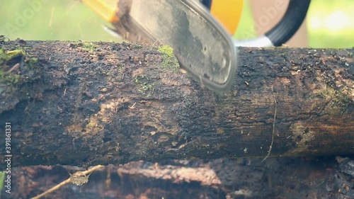 Cutting Wood With A Chainsaw Close Up