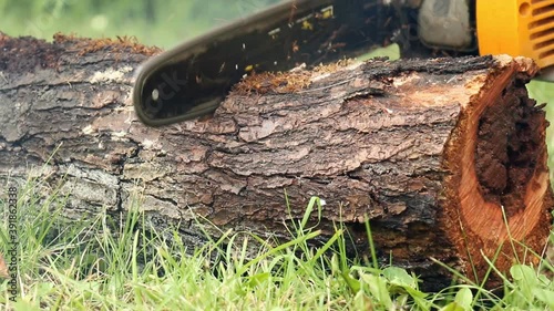 Cutting Through Wood With Chainsaw