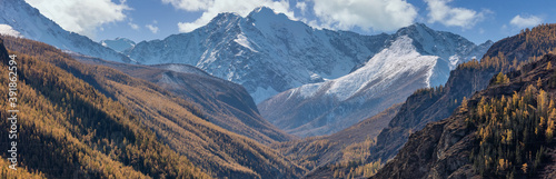 Altai mountains covered with snow. Beautiful highland autumn panoramic landscape. Slopes covered with golden trees in the foreground. Blue cloudy sky as a background. Russia. Siberia