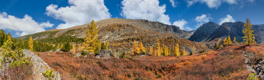 Altai mountains. Beautiful highland autumn panoramic landscape. Rocky foreground with golden trees. Blue cloudy sky as a background. Russia. Siberia